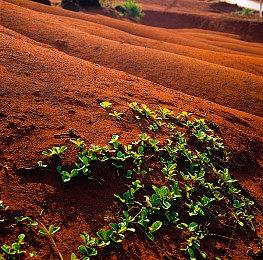 传PS5 Pro开发当中 2024年底发售